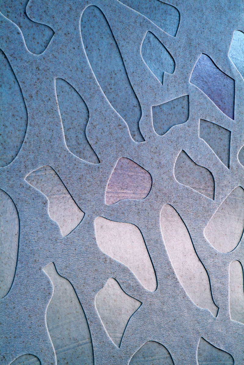 Poupak Sarah Shoughi, A (2015)